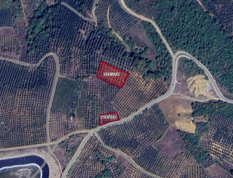 BURSA İZNİK AYDINLAR'DA TOPLAM 9.700  M²  ZEYTİNLİK VE TARLA  SATILIKTIR - BURSA İZNİK fotoğraf 6
